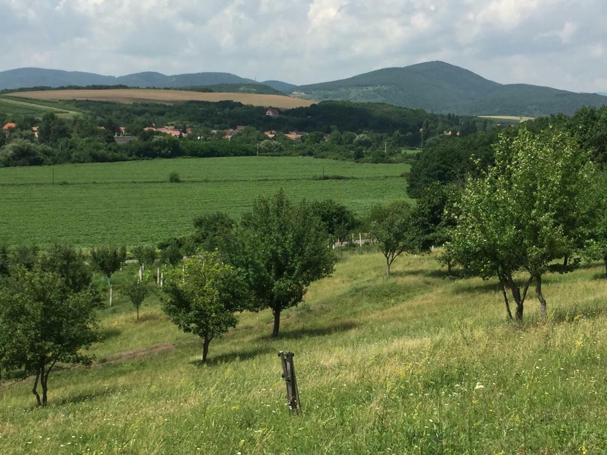 Dósa tanya, Vendégház Cserepfalu Esterno foto