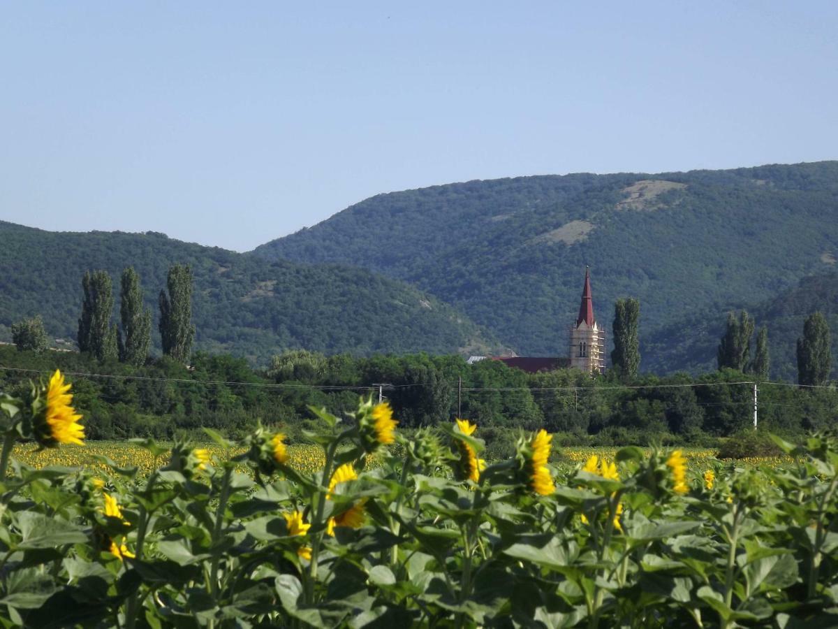 Dósa tanya, Vendégház Cserepfalu Esterno foto