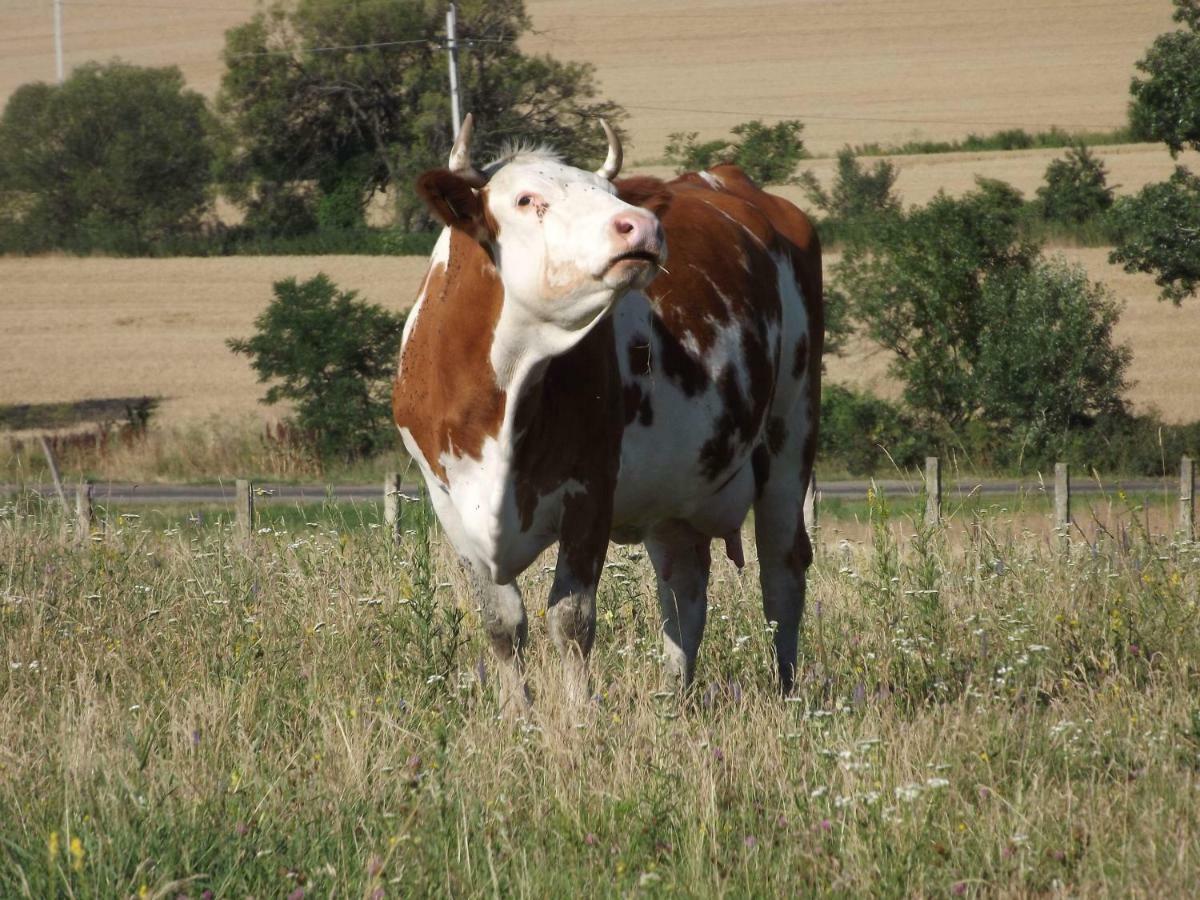 Dósa tanya, Vendégház Cserepfalu Esterno foto